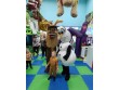 Bubba Play Indoor Play Zone Oklahoma OK, USA -883
