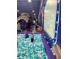 D&R PLAYLAND in Detroit RD sheffield OH, USA -381
