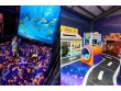 Go-Zone in 15 Moreton Road, Carterton New Zealand -266