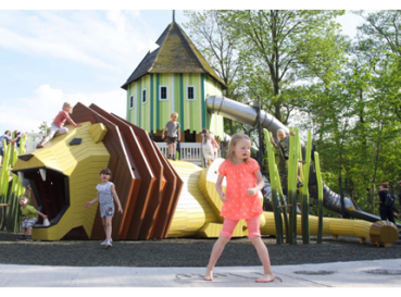 Park playground equipment